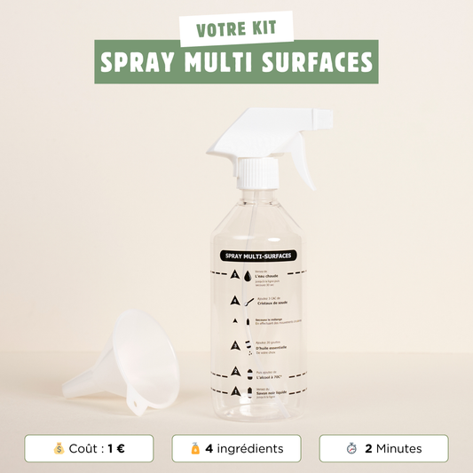 Kit Spray Multi Surface.