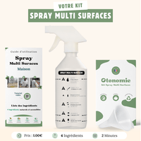 Kit Spray Multi Surface.