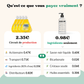 Kit Liquide Vaisselle diy.
