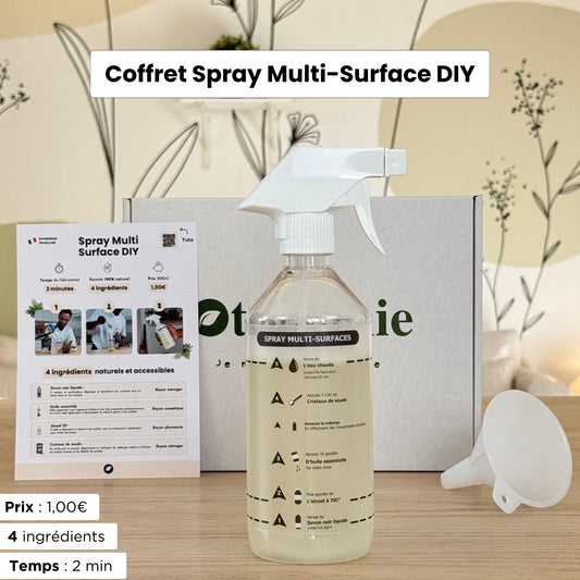 Multi-surfaces Nettoyant Kit DIY