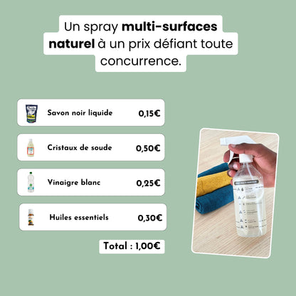 Multi-surfaces Nettoyant Kit DIY